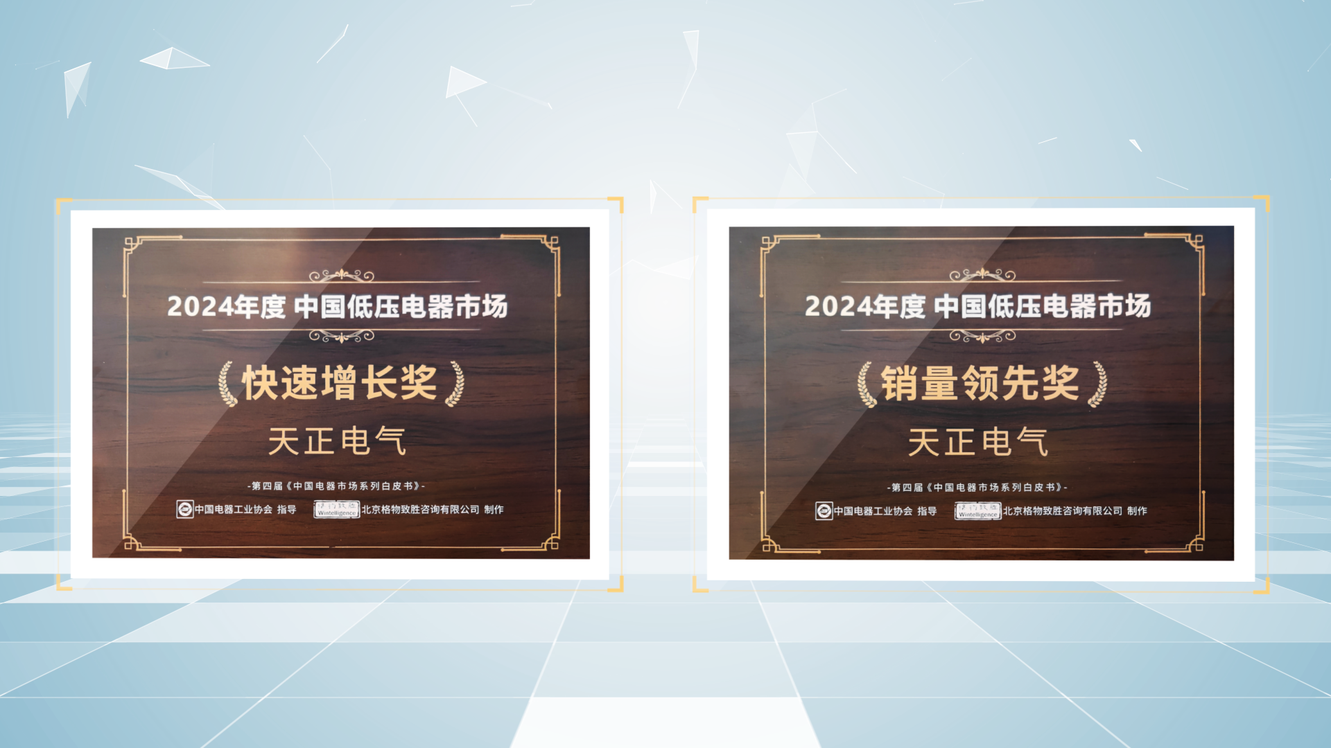 销量领先、快速增长丨完美真人荣膺2项行业年度大奖